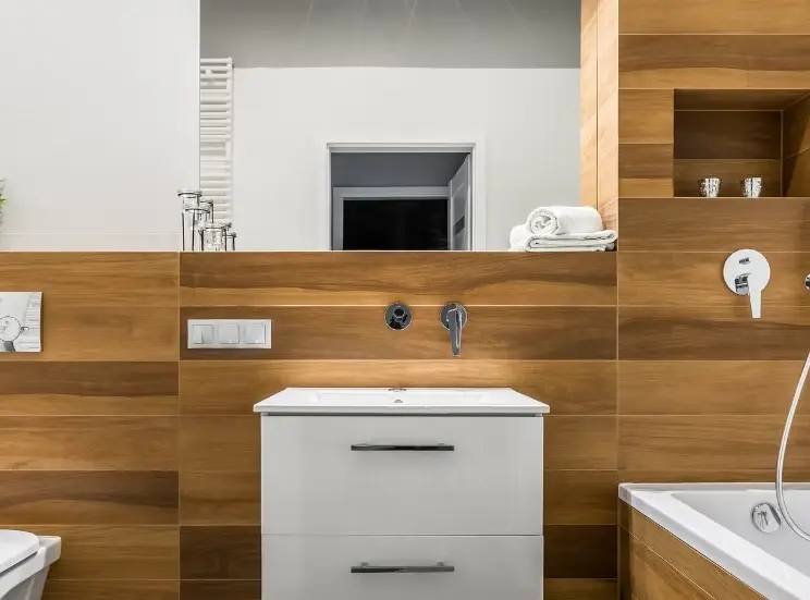 6ffcb9 b73b319412f94a1f9daeaef1cad5cf8emv2